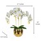Amira Large Real Touch Phalaenopsis Orchid Floral Arrangement in Round Ribbed Gold Vase